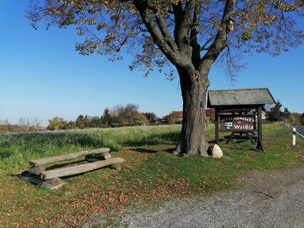 Aussichtspunkt "Lausitzer Berge"