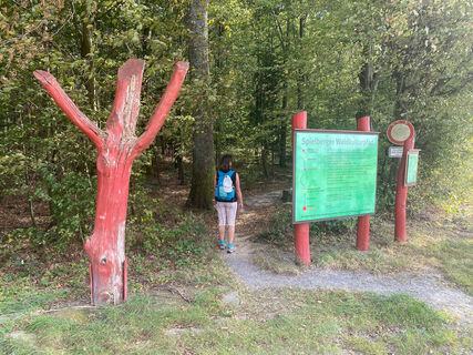 Bunte Bäume markieren den Spielberger Waldkulturpfad