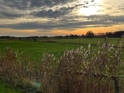 Blick in die Wiesen