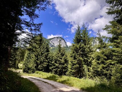 Foto von Beatrix Hefler entlang der Tour