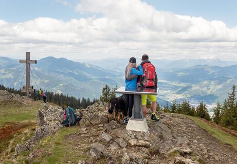 Blick vom Rennfeld