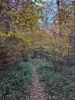 Fotó a ManCam honlapról a túra során