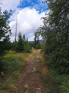 Foto de Markus Eibl a lo largo del recorrido