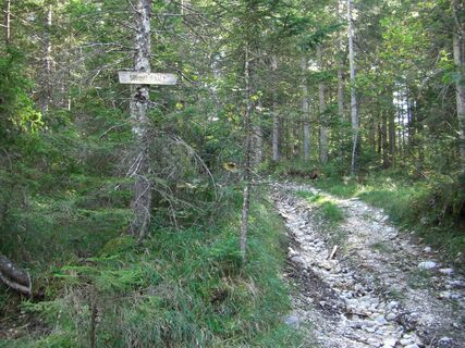 Wanderweg über die Steinitzenalm 