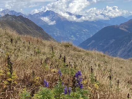 Photo from Ch Kurzke along the tour