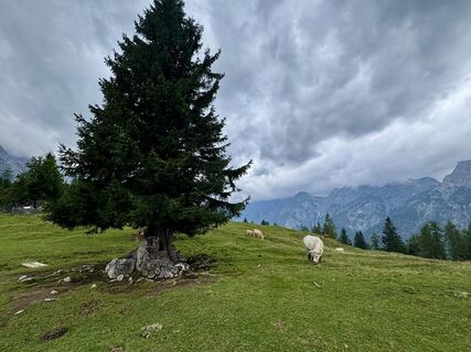 Foto von Philip Weihs entlang der Tour