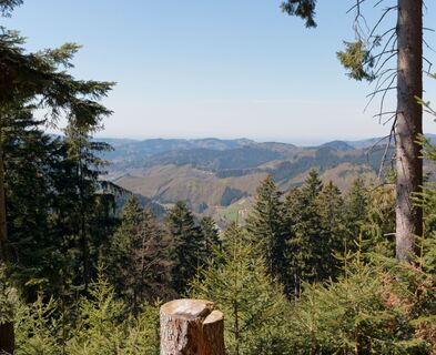 Bad Peterstal-Griesbach, Wanderung zum Buchkopfturm: Blick auf Oppenau-Maisach