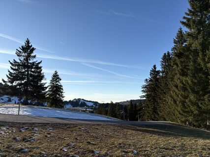 Fotografia z Theresa Marte na trase