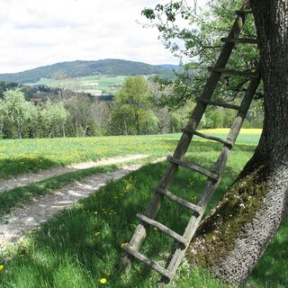 Landschaft: Wanderweg im Naturpark Pöllauer Tal in der Oststeiermark