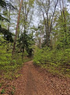 Foto von Eveline Schnur entlang der Tour