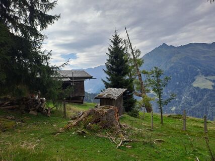 Fotografija s spletne strani Alexanderaigner na poti