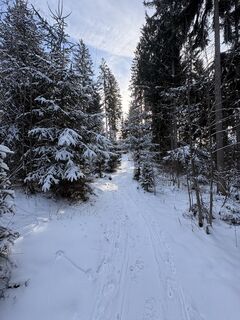 Foto von CHRISTIAN SCHNEIDER 12 entlang der Tour