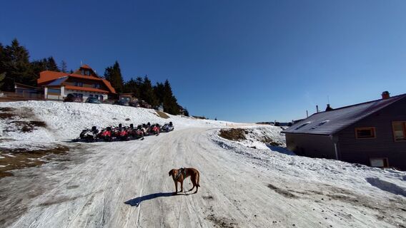 Fotografija s spletne strani István Gábor 1 na poti