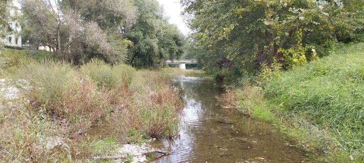 Fotografija s spletne strani Christine Fischer na poti