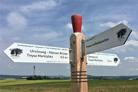 Treeser Kaffeebäumchen Wegweiser