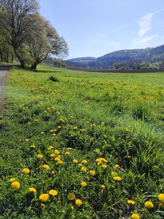 Zdjęcie z Bernd Zengerling wzdłuż trasy