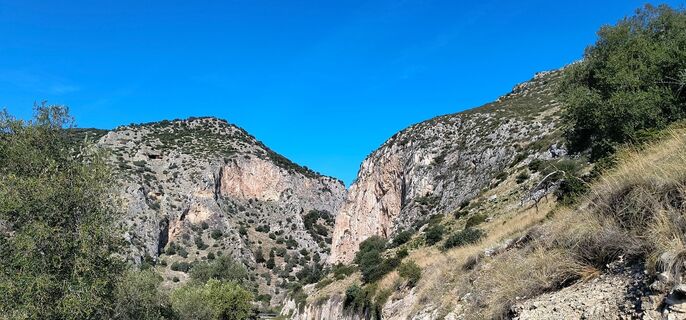 Photo de Platon le long du parcours