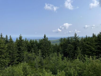 Photo de Ralf Umminger le long du parcours