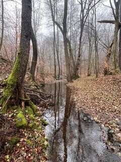 Foto de Fazekas Tibor78 a lo largo del recorrido