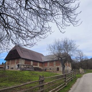 Fotografia z Sonja Enzenhofer na trase