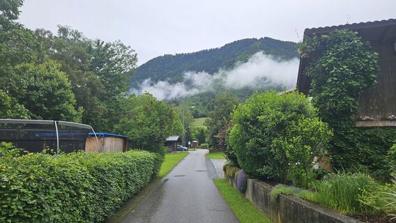 Tisner Wald