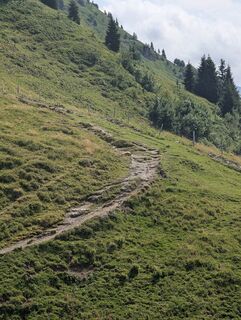 Foto von Mogli entlang der Tour