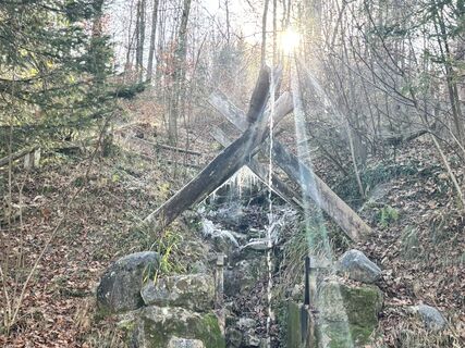 Fotografie z Stanislovas Kaktys na trase