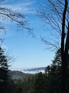 Photo de Tanja Steiner le long du parcours