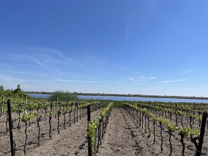 Foto de Robert.Unterlercher a lo largo del recorrido