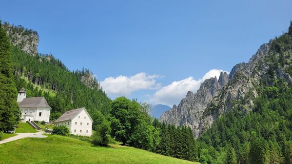 Fotografija s spletne strani Juliane Jarke na poti