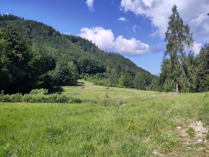 Fotografija s spletne strani Mark na poti