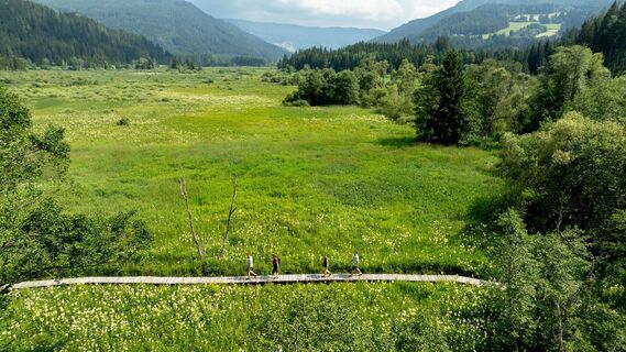 Hörfeld Moor von oben