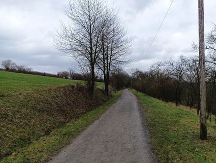 Foto von Dario Mansi entlang der Tour