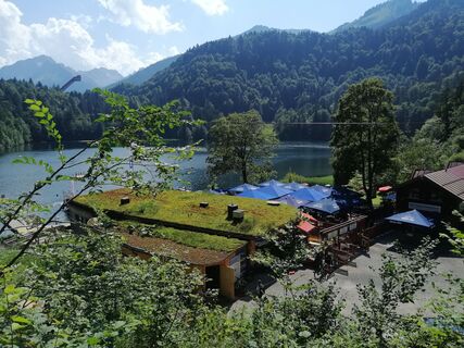 Zdjęcie z Eifeleddy wzdłuż trasy