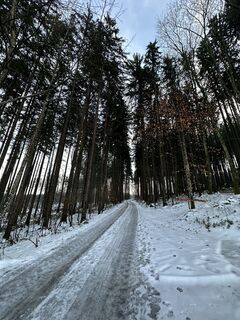 Foto von Babs Holz entlang der Tour