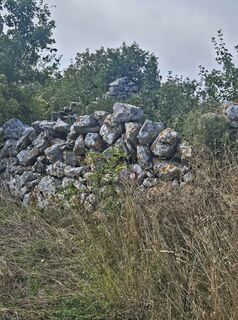 Foto von Schienerbue entlang der Tour