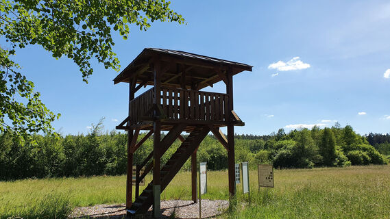 Aussichtsturm am Biberlehrpfad