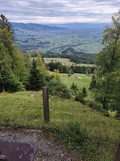 Photo de Peter Seliner le long du parcours