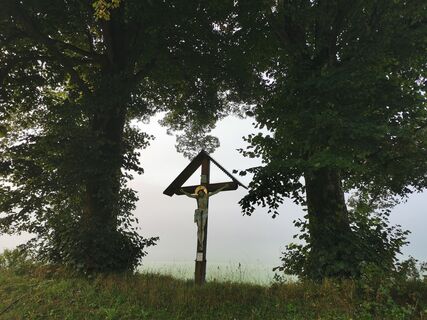 Foto von Braunreiter entlang der Tour