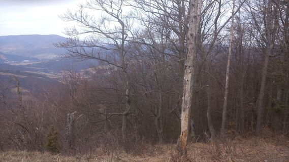 Fotografie z Mikulas Virag na trase