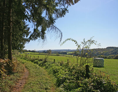Quirrenbach-Impression