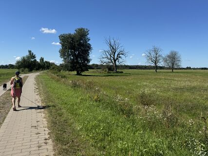 Photo de Alexander Zuber le long du parcours