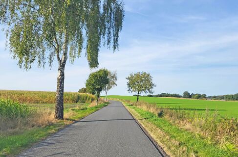 Asphaltierte Straße über einen kleinen Anstieg bei Oese