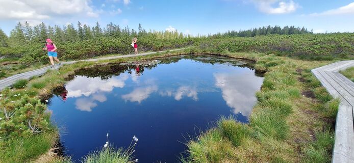 Foto von Zdravko Babič entlang der Tour