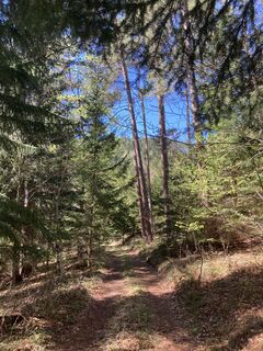 Fotografija s spletne strani Moonytiger na poti