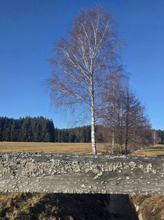 Foto von Marianna Glarcher entlang der Tour