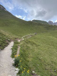 Foto von Razhan Pourzal entlang der Tour