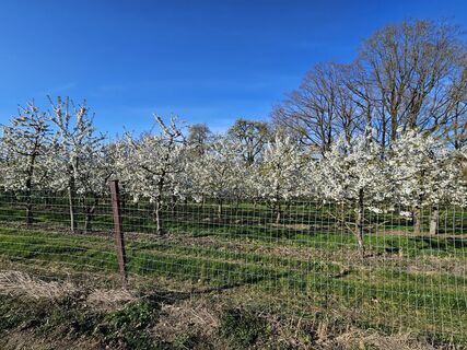 Foto von ElkeA entlang der Tour