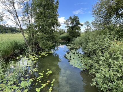 Fotografija s spletne strani Jana Schmidt na poti