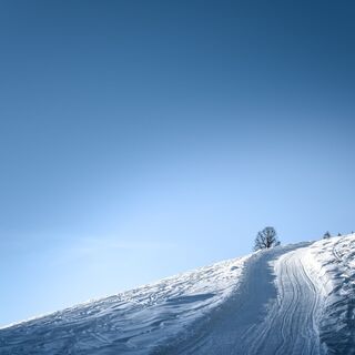 Skitour Penkkopf